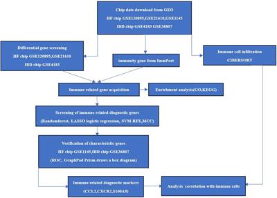 Identification CCL2,CXCR2,S100A9 of the immune-related gene markers and immune infiltration characteristics of inflammatory bowel disease and heart failure via bioinformatics analysis and machine learning